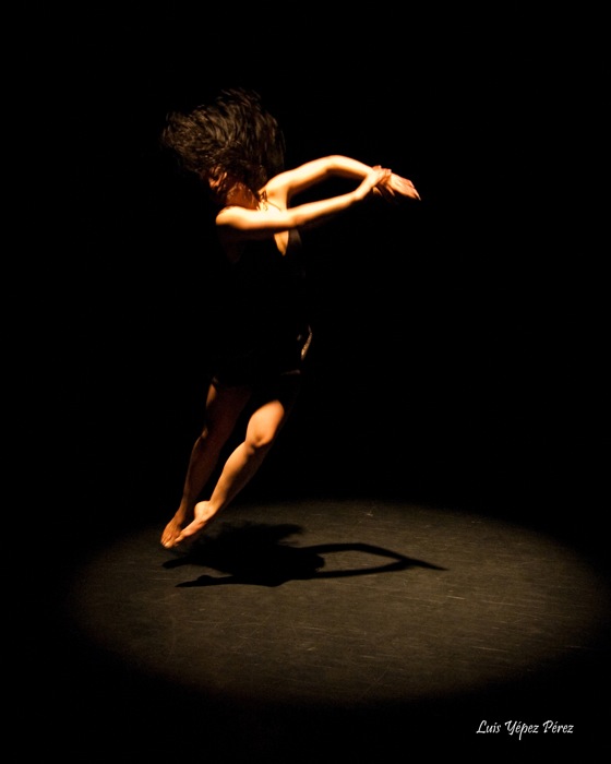 Resonancia: Movimiento. Luz. Sonido. (Fotografía cortesía de Luis Yépez Pérez)