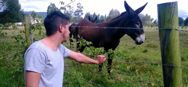 Viernes versionado: ‘Azúcar amargo’, versión El Burro II.