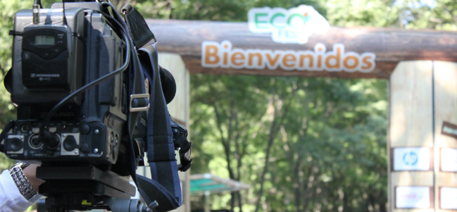 Especial EcoFest: Pañales ecofriendly.