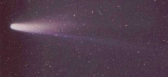 El cometa Halley.