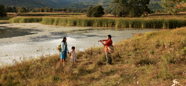 'La tiricia o cómo curar la tristeza', ganador al VIII Premio La Palmita 2012.