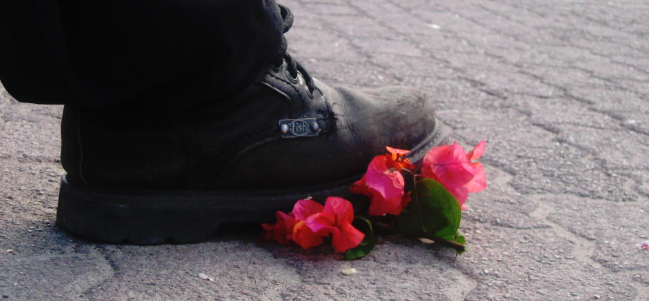 México ¡reprobado! « Reconoce MXReconoce MX