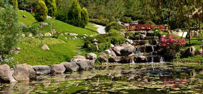 El jardín más grande del mundo tiene corazón mexicano.