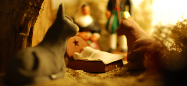 El Nacimiento de Francisco.